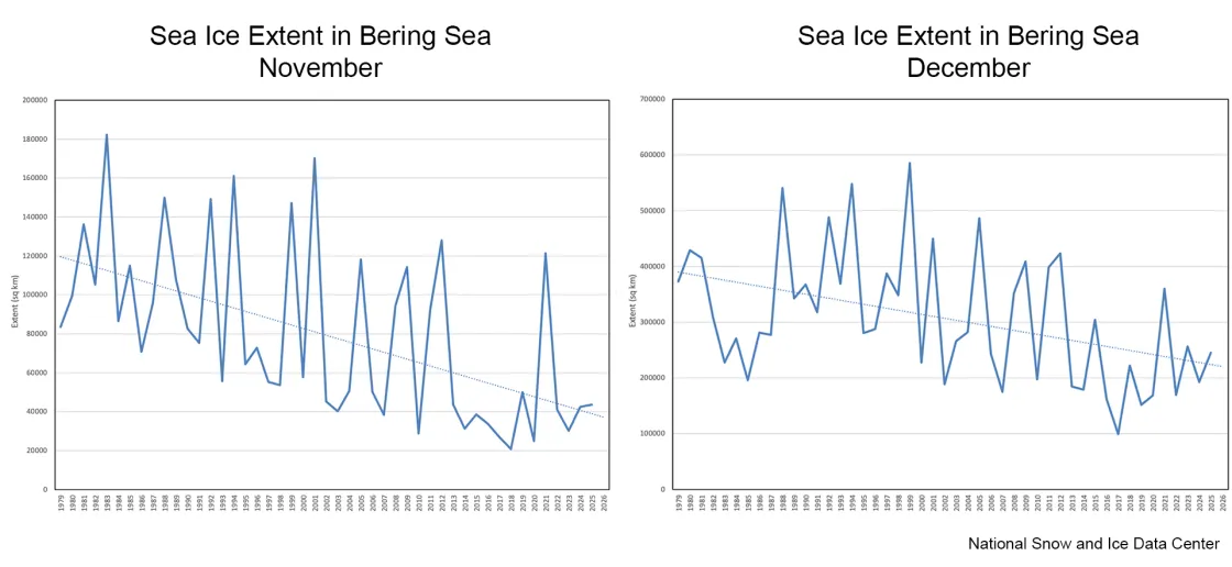 downward trend of sea ice in the Bering Sea for the months of November, on the left, and December, on the right