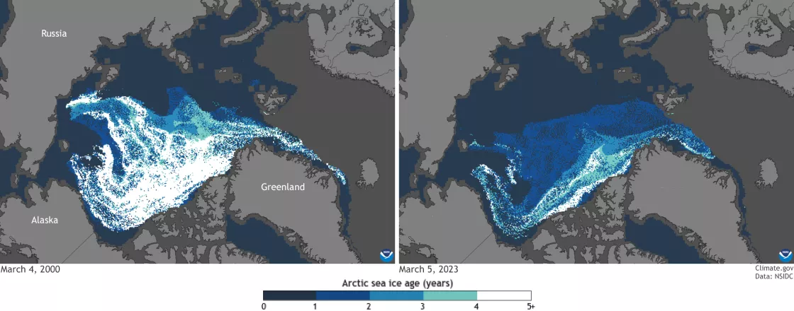 Color-coded maps of Arctic sea ice age