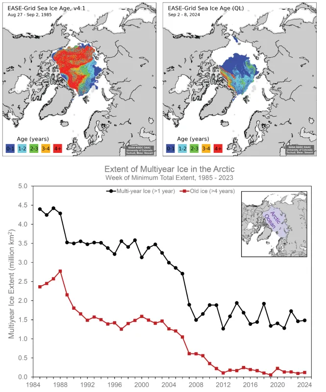 Ice Age in Arctic map and graph comparing 2024 to 1985