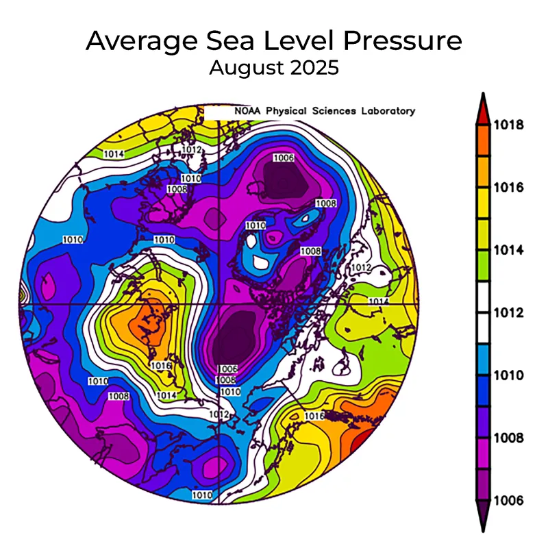 average sea level pressure in the Arctic in millibars for August 2025