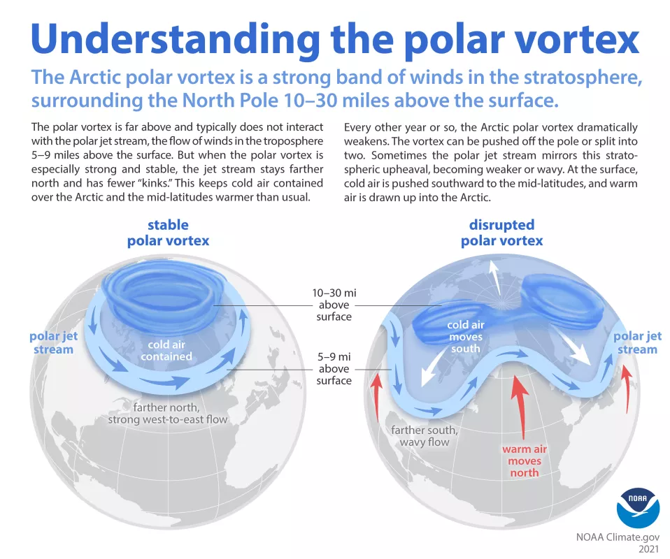 Graphic of Polar Vortex