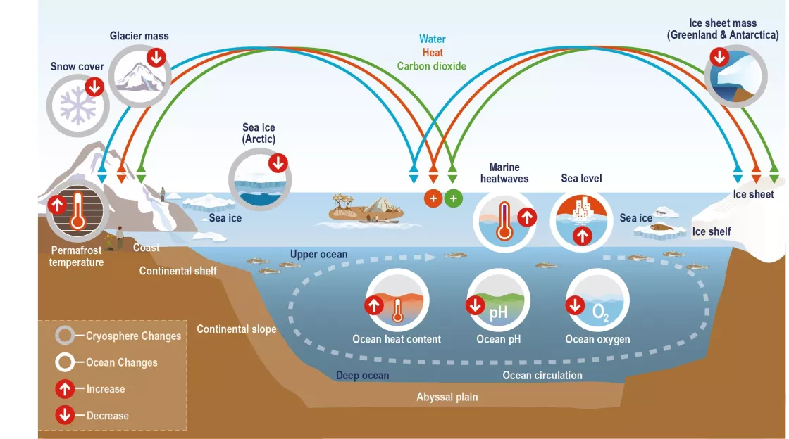 Illustration of how climate change affect the ocean and cyrosphere