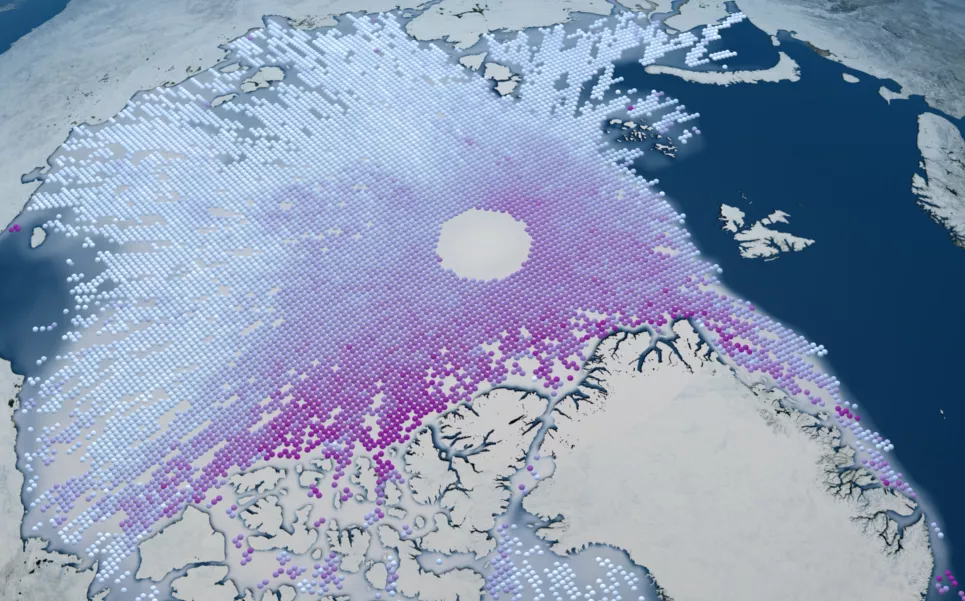 Arctic sea ice freeboard