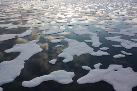 Light reflects off Arctic sea ice. 