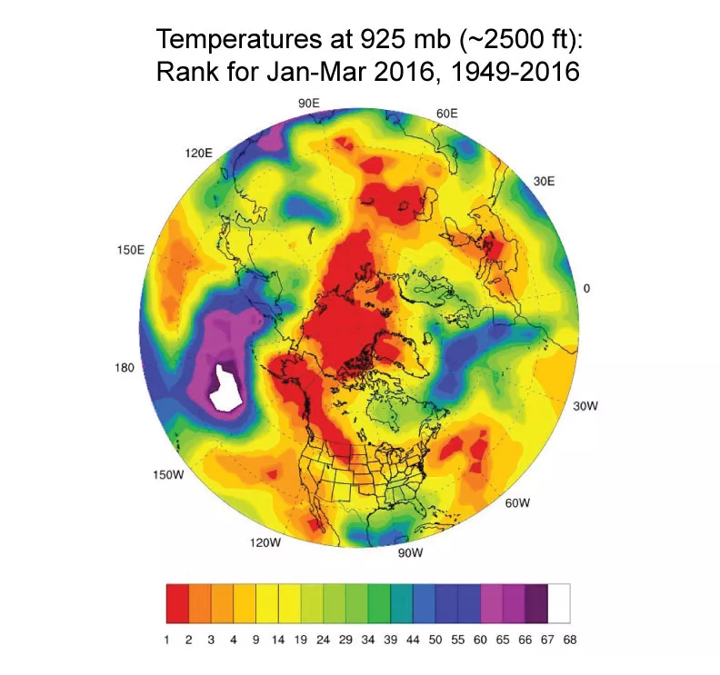 Figure 3: The map shows average temperatures for the Northern Hemisphere between January and March 2016 at the 925 millibar level (approximately 2,500 feet altitude). Data are from ESRL NCEP weather reanalysis. 
