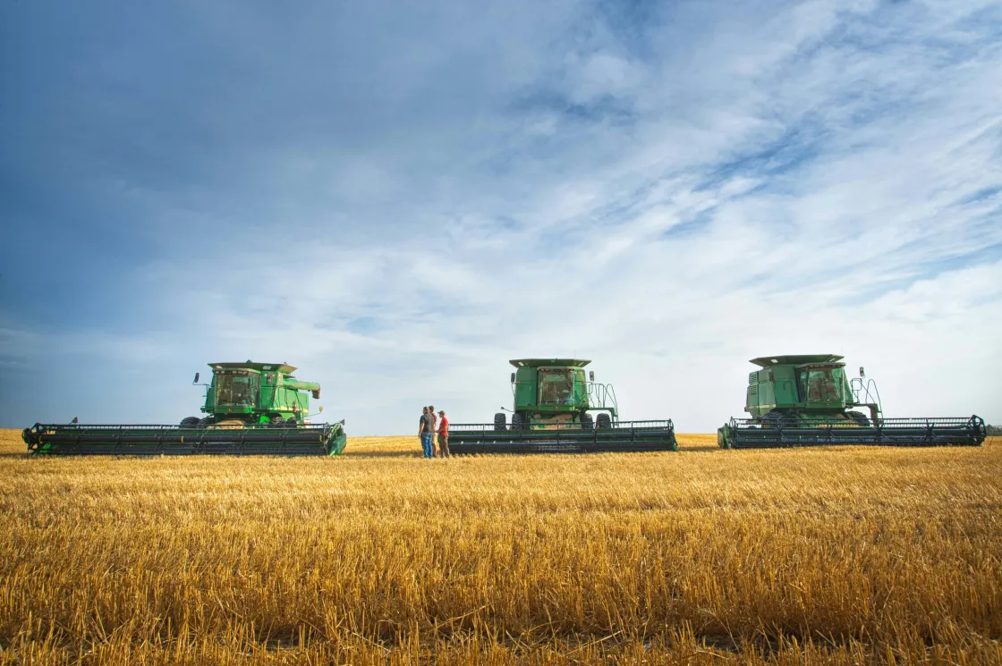 tractors on wheat-covered land