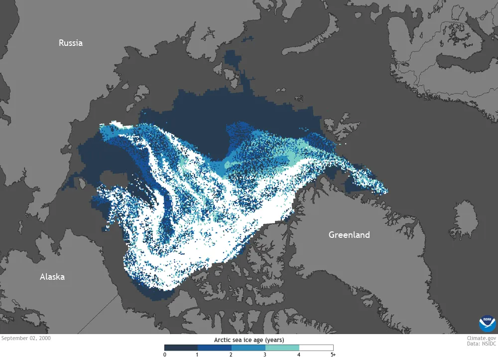 Animation of Arctic sea ice age, 2000-2023