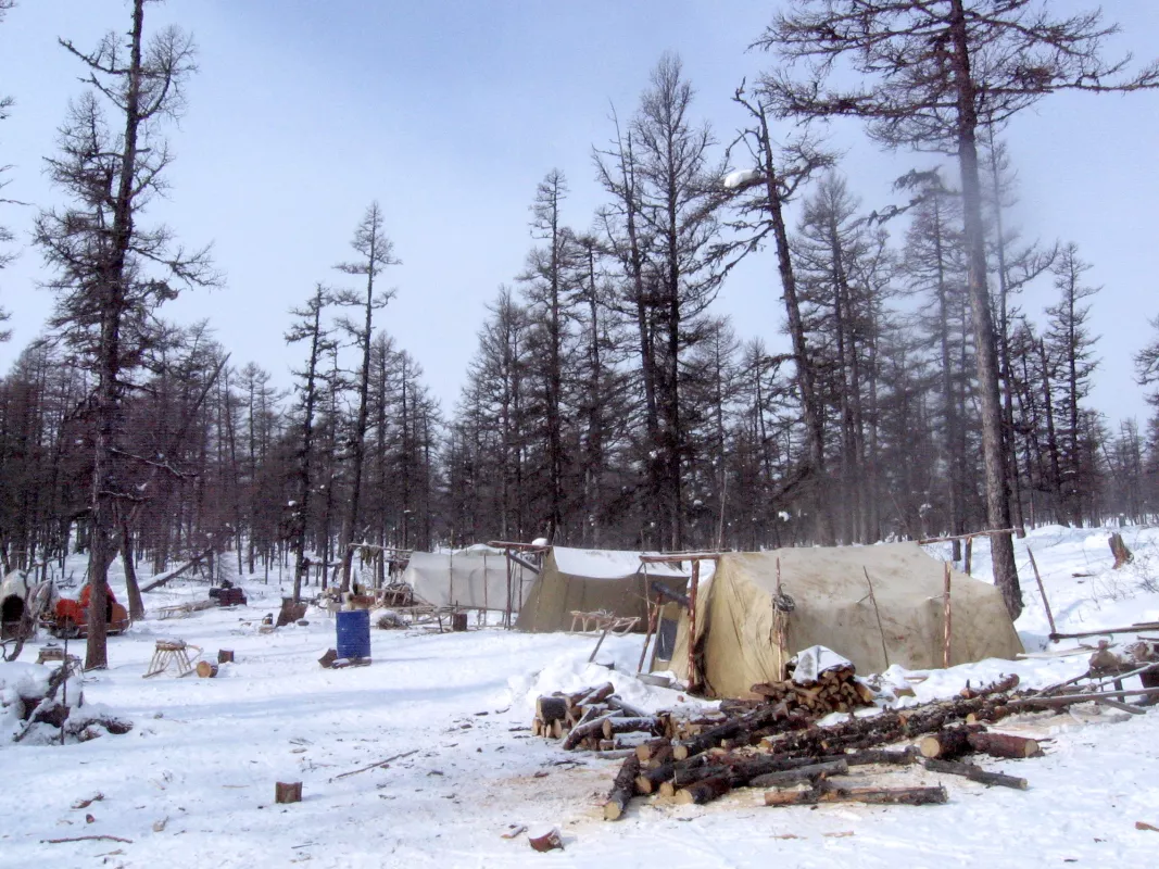 Camp in the taiga in winter