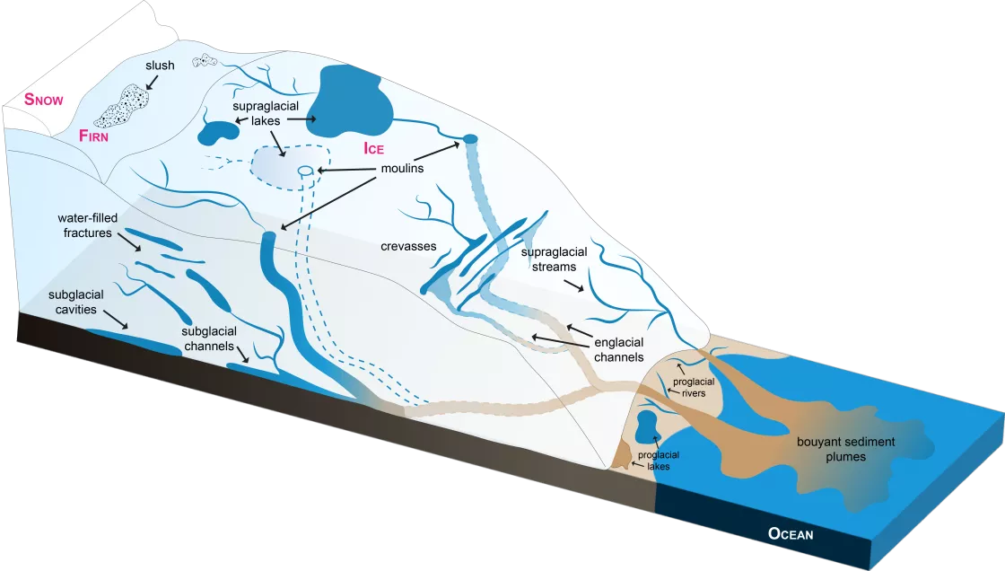 A graphic showing the hydrological system within the Greenland Ice Sheet
