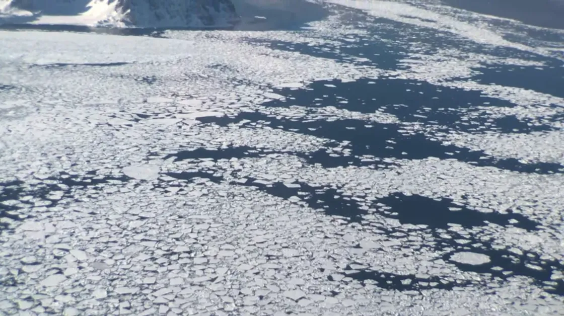 Aerial image of sea ice
