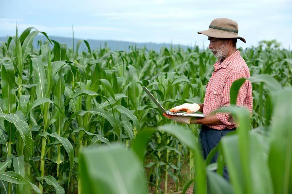 Photo of farmer inspecting crop with laptop