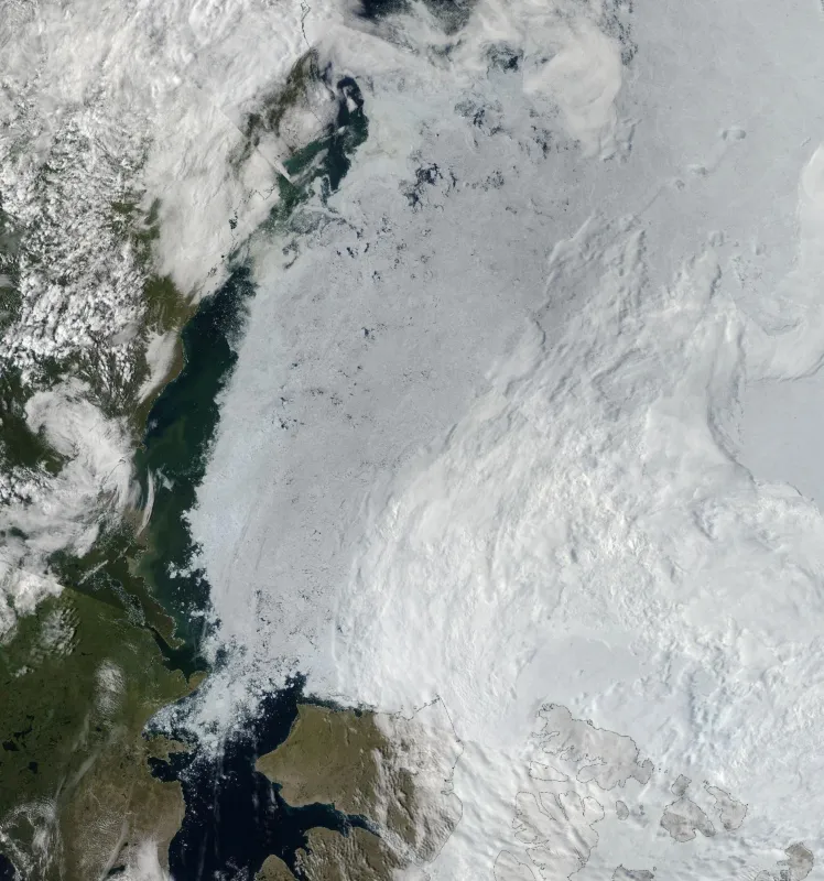MODIS image of Arctic sea ice
