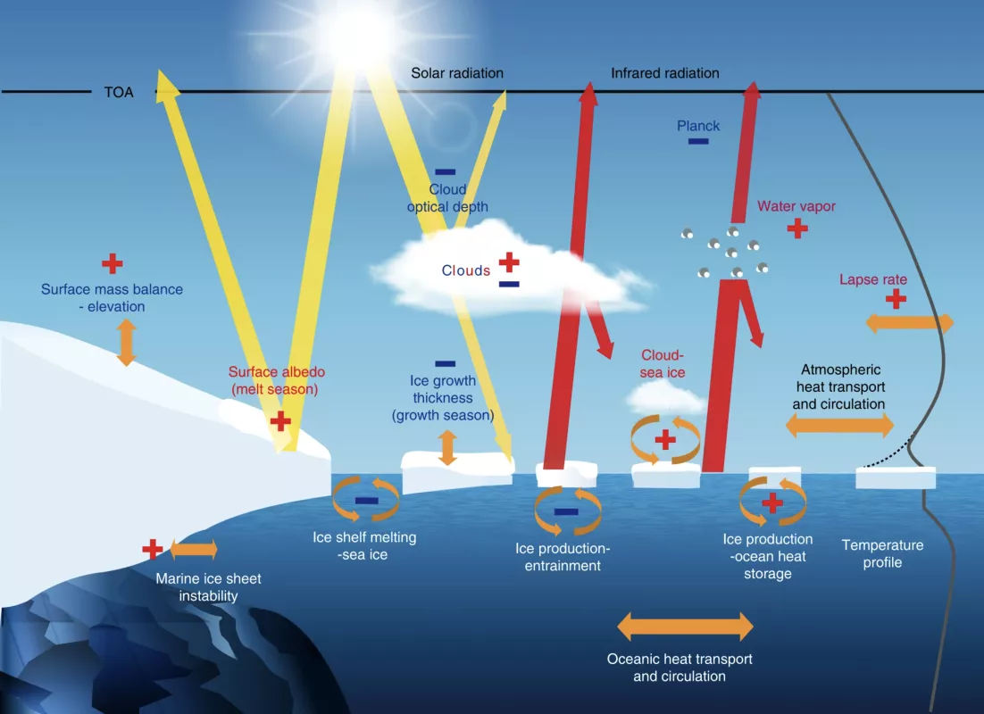 An illustration of energy feedbacks in the polar regions