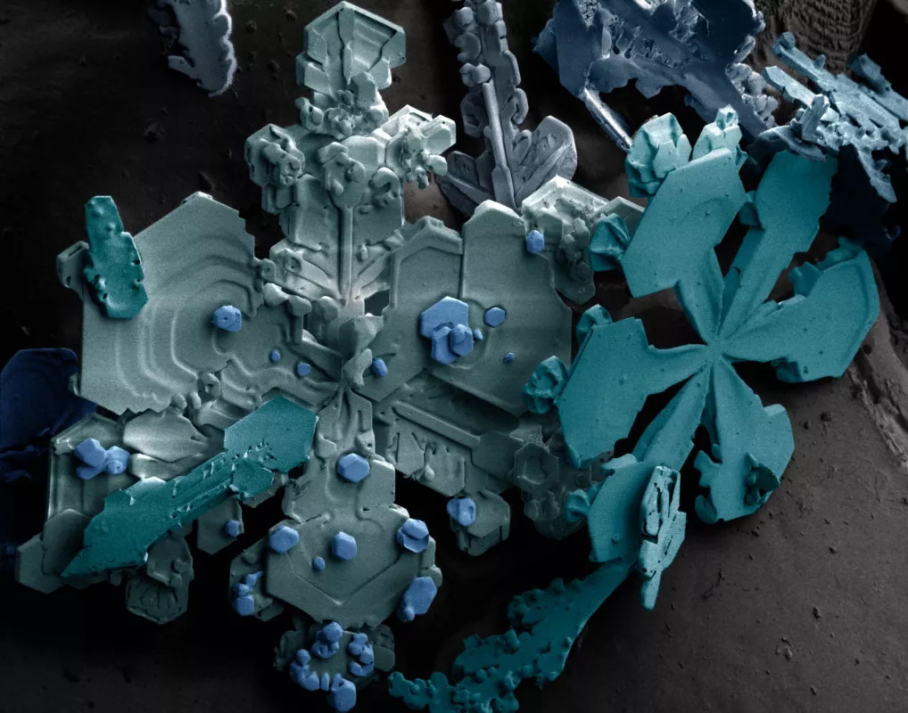 electron microscope of snowflakes