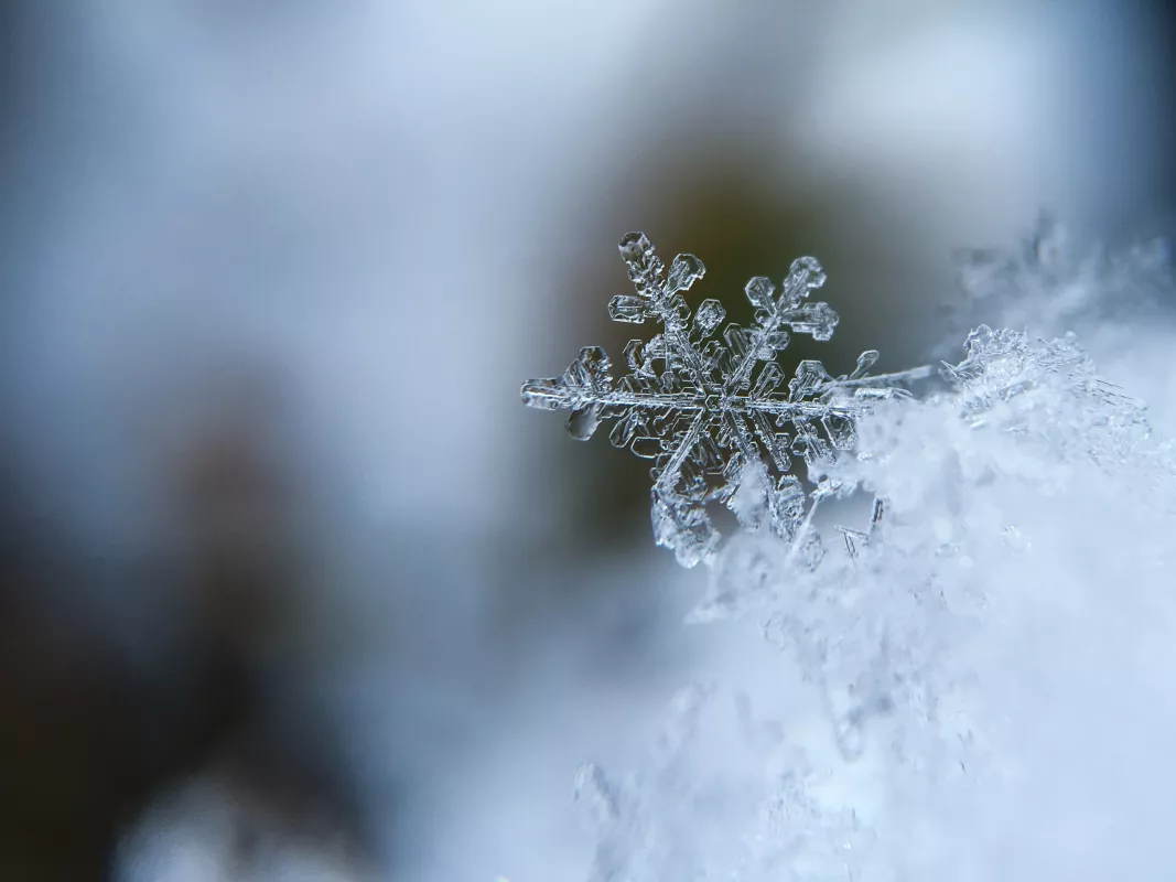 a macro photo of snowflake