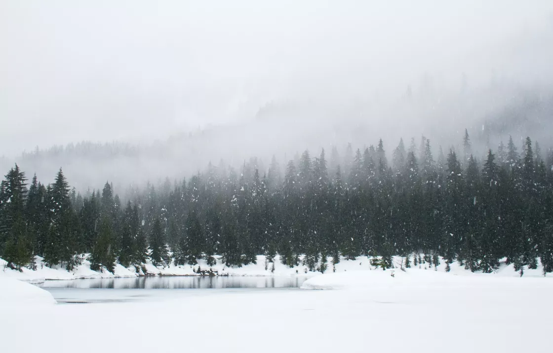 Snow falls on a pond in Washington state