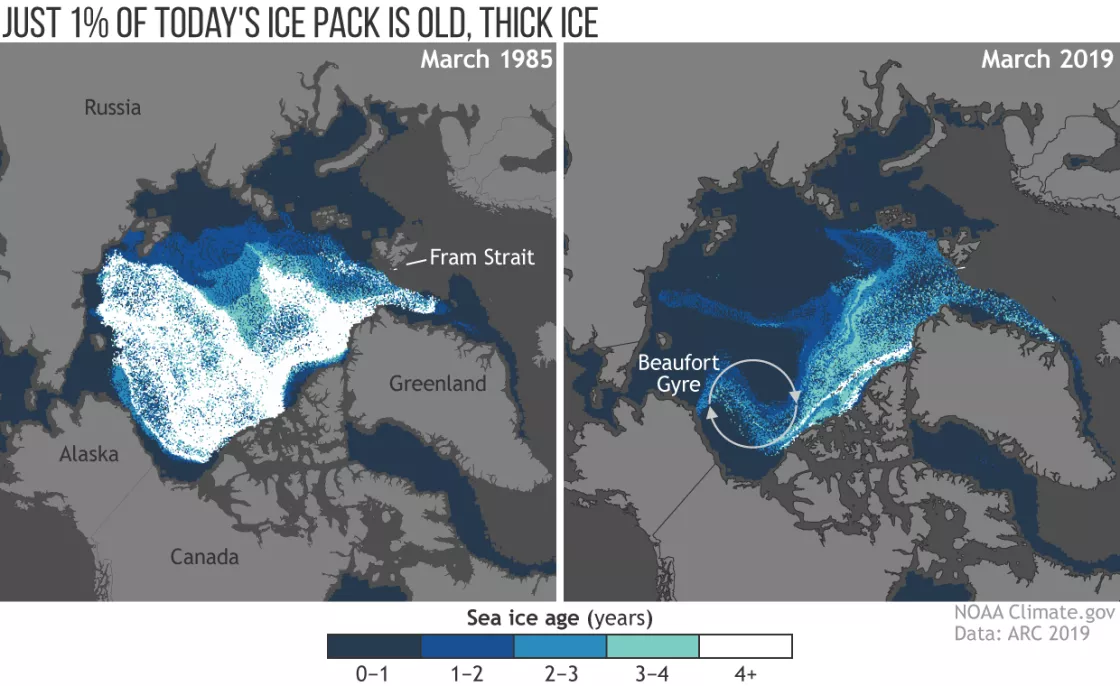 Comparison of sea ice thickness
