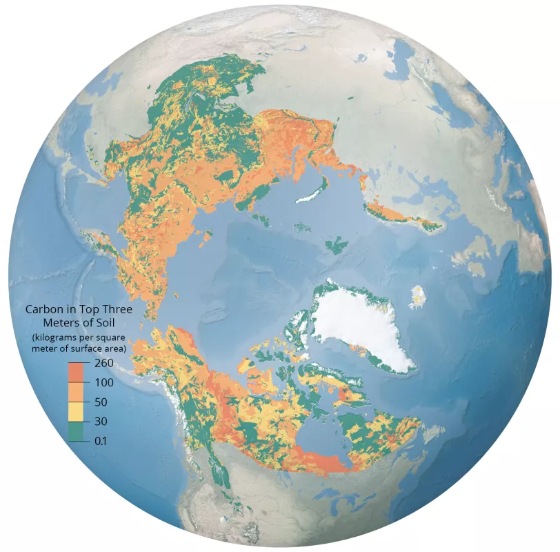 Map of amount of carbon in top three meters of soil trapped in permafrost in Arctic