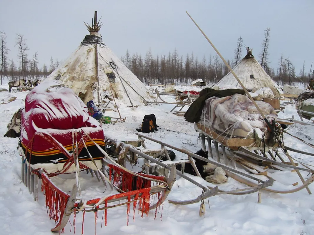 A photograph of the Nenet People's camp in West Siberia.