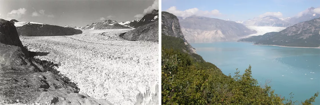comparison of Muir Glacier in 1941 to 2004