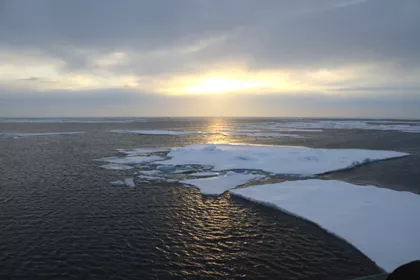 Photograph of Arctic sea ice
