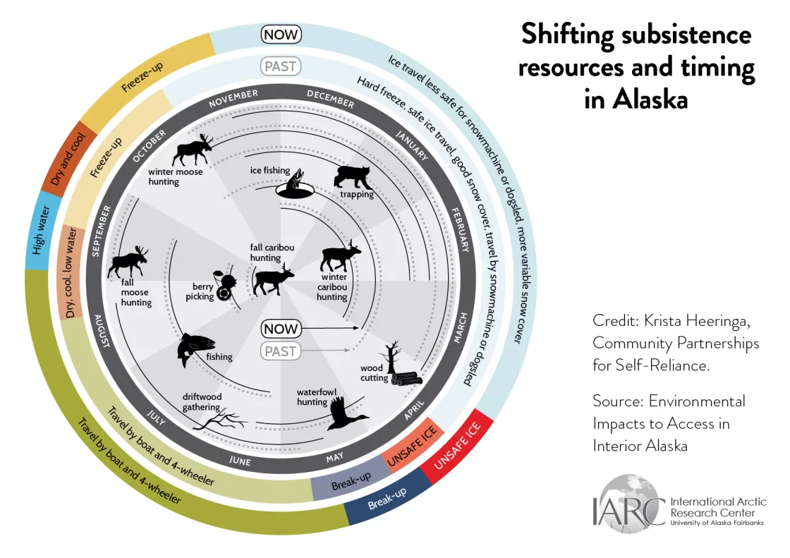 graphic of shifting subsistence resources and timing in Alaska