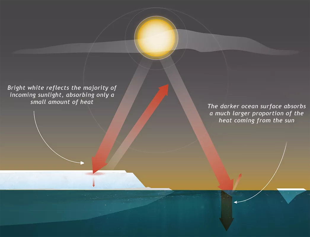 graphic of white surface vs dark surface solar heat absorption 