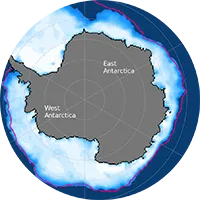 sea ice concentration