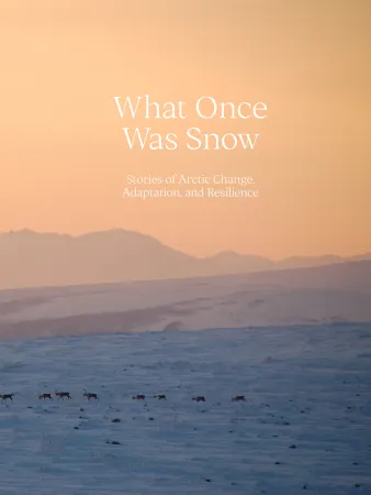 What once was snow book cover