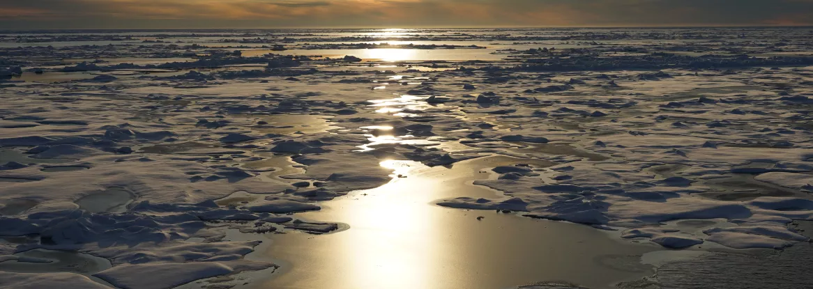 sea ice in the Chukchi Sea
