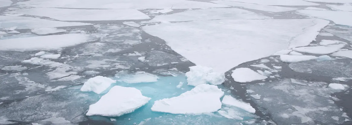 arctic sea ice is patchy