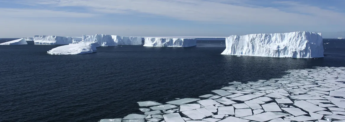 Antarctic sea ice drifts amid icebergs