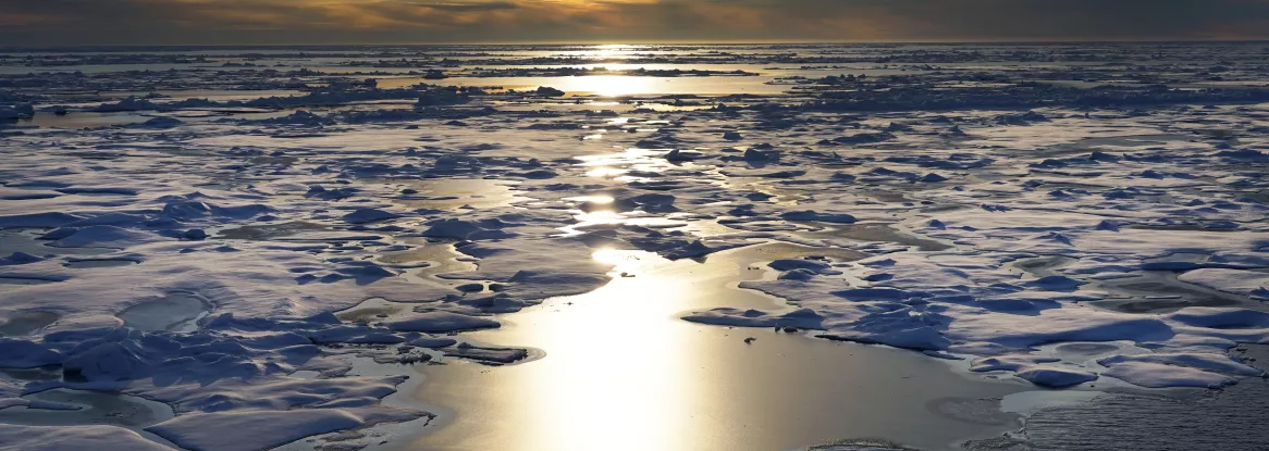 Sea ice breaks up in the Chukchi Sea