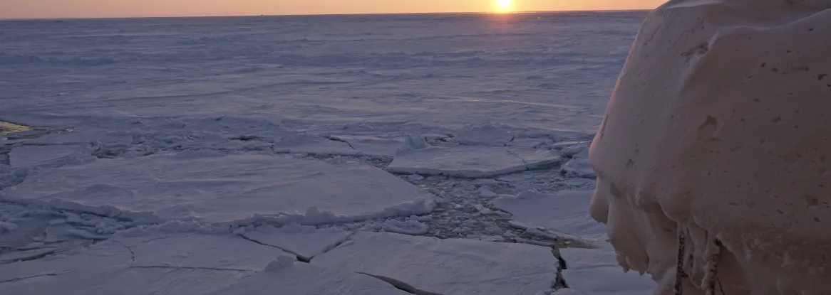 Sea ice in the Chucki Sea