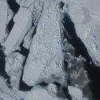 This photograph from a March 27, 2015 NASA IceBridge flight shows a mixture of deformed, snow-covered, first-year sea ice floes, interspersed by open-water leads, brash ice and thin, snow-free nilas and young sea ice over the East Beaufort Sea. Nilas are thin sheets of smooth, level ice less than 10 centimeters (4 inches) thick and appear darkest when thin. Credit: NASA/Operation Ice Bridge. High-resolution image