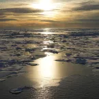 Sea ice in the Chukchi Sea