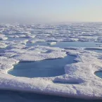 Photo of melt ponds on sea ice