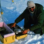 Mark Serreze conducts research on the St. Patrick Bay Ice Caps as a graduate student in the early 1980s.
