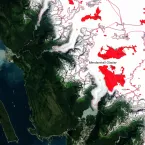 Mendenhall Glacier as seen through the Global Land Ice Measurements from Space (GLIMS) Glacier Viewer.