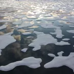 Light reflects off Arctic sea ice. 