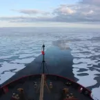 Photo of sea ice from a ship. 
