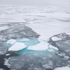 Arctic sea ice is patchy