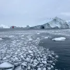 sea ice with iceberg sea ice with iceberg