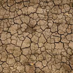 Photo of cracked, dry soil