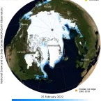 Sea ice concentration on globe