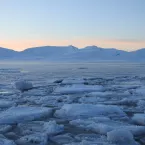 Sea ice is forming in a fjord in Svalbard. Credit: Alia Khan, NSIDC