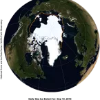 Arctic sea ice concentration