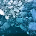 Sea ice in all types of shapes