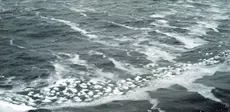https://nsidc.org/sites/default/files/cryosphere/glossary/shuga.jpg shuga.jpg