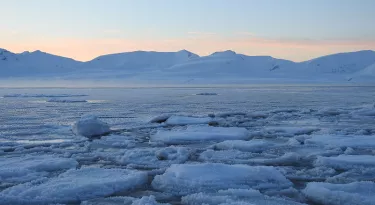 Sea ice in Svalbard fjord